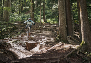 Mountainbikerin meistert eine anspruchsvolle Wurzelpassage auf einem steilen Waldtrail mit ihrem Downhill-Bike. | © Karin Pasterer