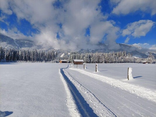 Winterlandschaft