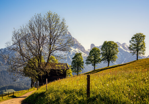Herbst in der Wanderregion | © Peter Kuhnl Herbst in der Wanderregion Saalfelden Leogang | © Peter Kuhnl
