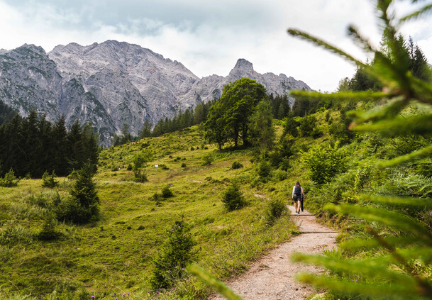 Klimawanderung | © Michael Geißler Wanderweg in Saalfelden Leogang | © Michael Geißler